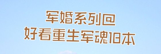 軍婚系列@好看重生軍魂18本